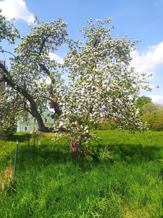 Polny Zakatek - Pokoje Goscinne Rybnica Exteriör bild